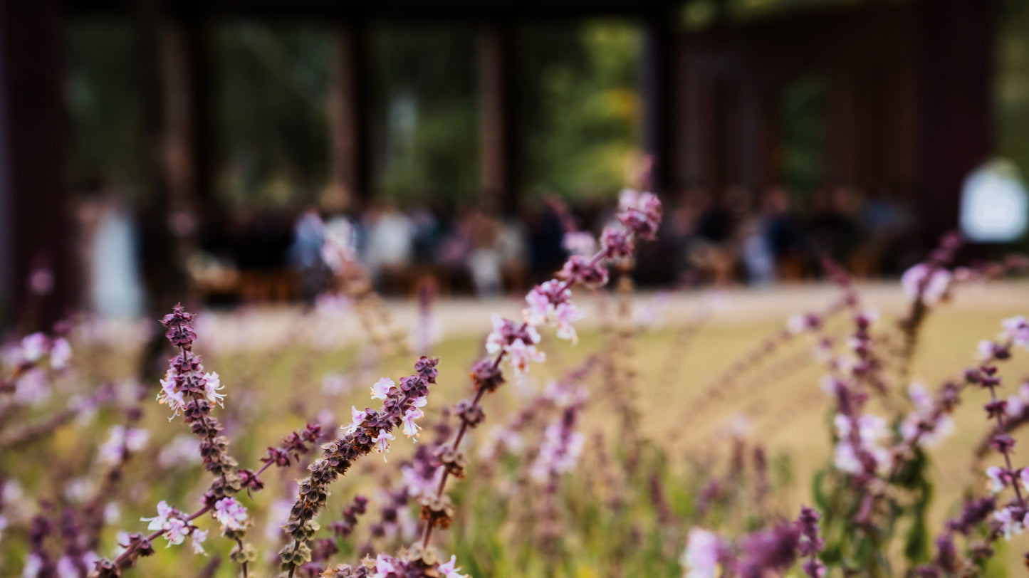 The Elite Wedding Experience Package